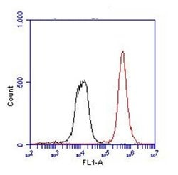 Invitrogen CD4 Monoclonal Antibody (GK1.5) 1 mg; Unconjugated:Antibodies,