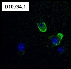 Invitrogen CD4 Monoclonal Antibody (GK1.5) 1 mg; Unconjugated:Antibodies,