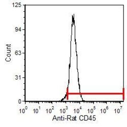 Invitrogen CD45 Monoclonal Antibody (OX-30):Antibodies:Primary Antibodies