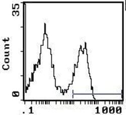 Invitrogen CD45RA Monoclonal Antibody (OX-33) 500 &mu;g; Unconjugated:Antibodies,