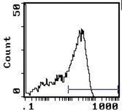 Invitrogen CD45RC Monoclonal Antibody (OX-22) 500 &mu;g; Unconjugated:Antibodies,