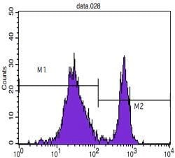 Invitrogen CD4 Monoclonal Antibody (B486A1) 100 &mu;g; Unconjugated:Antibodies,