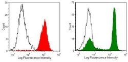 Invitrogen CD4 Monoclonal Antibody (W3/25), FITC:Antibodies:Primary Antibodies