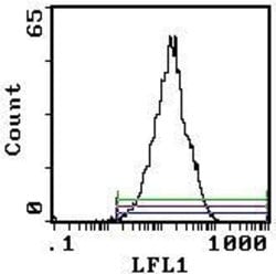 Invitrogen CD5 Monoclonal Antibody (OX-19) 250 &mu;g; Unconjugated:Antibodies,