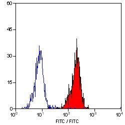 Invitrogen CD55 Monoclonal Antibody (67) 200 &mu;g; Unconjugated:Antibodies,