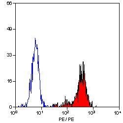 Invitrogen CD55 Monoclonal Antibody (67) 200 &mu;g; Unconjugated:Antibodies,