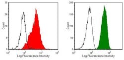 Invitrogen CD59 Monoclonal Antibody (1F5), FITC 100 &mu;g; FITC:Antibodies,