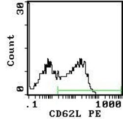 Invitrogen CD62L Monoclonal Antibody (OX-85) 250 &mu;g; Unconjugated:Antibodies,