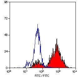 Invitrogen CD68 Monoclonal Antibody (FA-11) 250 &mu;g; Unconjugated:Antibodies,