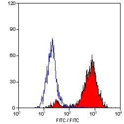 Invitrogen CD68 Monoclonal Antibody (FA-11) 250 &mu;g; Unconjugated:Antibodies,