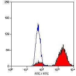 Invitrogen CD68 Monoclonal Antibody (FA-11) 250 &mu;g; Unconjugated:Antibodies,