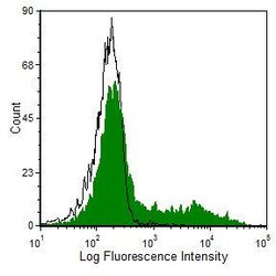 Invitrogen Transferrin Receptor Monoclonal Antibody (OX-26), FITC 100 &mu;g | Buy Online | Invitrogen&trade; | Fisher Scientific