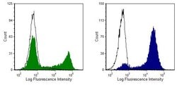 Invitrogen CD8 Monoclonal Antibody (OX-8) 250 &mu;g; Unconjugated:Antibodies,
