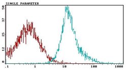 Invitrogen CD81 Monoclonal Antibody (Eat2) 250 &mu;g; Unconjugated:Antibodies,