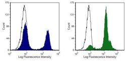 Invitrogen CD8 alpha Monoclonal Antibody (CT-CD8a), PE:Antibodies:Primary