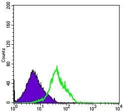 CD94 Monoclonal Antibody (1H1), Invitrogen 100 &mu;L; Unconjugated:Antibodies,