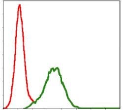 Invitrogen CD9 Monoclonal Antibody (5G6) 100 &mu;L; Unconjugated:Antibodies,