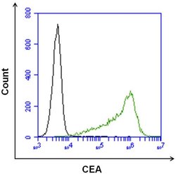 CEA, clone: 1105, Invitrogen 100&mu;g; Unconjugated:Antibodies, Monoclonal