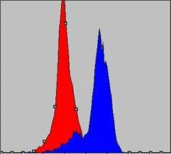 Invitrogen COX4 Monoclonal Antibody (6B3) 100 &mu;L; Unconjugated:Antibodies,