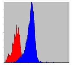 Invitrogen CrkL Monoclonal Antibody (5E12) 100 &mu;L; Unconjugated:Antibodies,