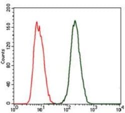 Invitrogen CRP Monoclonal Antibody (1G1) 100 &mu;L; Unconjugated:Antibodies,