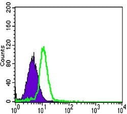 Invitrogen CSK Monoclonal Antibody (5F3) 100 &mu;L; Unconjugated:Antibodies,