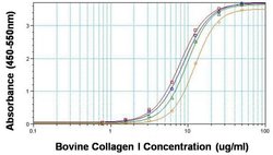 Invitrogen Collagen I Monoclonal Antibody (5D8-G9) 100 &mu;g; Unconjugated:Antibodies,