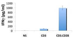Invitrogen IFN gamma Monoclonal Antibody (B133.5), Biotin 250 &mu;g; Biotin:Antibodies,