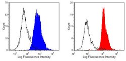 Invitrogen Crry Monoclonal Antibody (5I2) 250 &mu;g; Unconjugated:Antibodies,