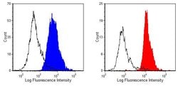 Invitrogen Crry Monoclonal Antibody (5I2), FITC 100 &mu;g; FITC:Antibodies,