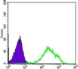 Invitrogen DAXX Monoclonal Antibody (7A11) 100 &mu;L; Unconjugated:Antibodies,