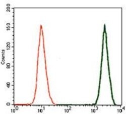 Invitrogen Doublecortin Monoclonal Antibody (2G5) 100 &mu;g; Unconjugated:Antibodies,