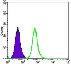 Invitrogen DKK3 Monoclonal Antibody (4G7) 100 &mu;L; Unconjugated:Antibodies,