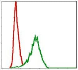 Invitrogen DLK1 Monoclonal Antibody (3A10) 100 &mu;L; Unconjugated:Antibodies,