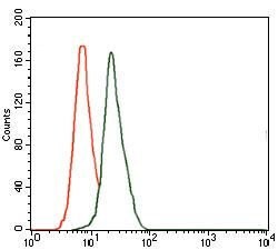 Invitrogen DLL4 Monoclonal Antibody (4A11) 100 &mu;g; Unconjugated:Antibodies,