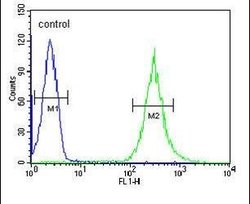 ENPP7 Rabbit anti-Human, Polyclonal, Invitrogen 400 &mu;L; Unconjugated:Antibodies,