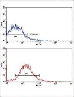 EphB2 Monoclonal Antibody (48CT12.6.4), Invitrogen 200 &mu;L; Unconjugated:Antibodies,