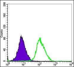 Invitrogen ERK3 Monoclonal Antibody (4E8) 100 &mu;L; Unconjugated:Antibodies,