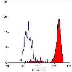 Invitrogen F4/80 Monoclonal Antibody (Cl:A3-1) 2 mL; Unconjugated:Antibodies,