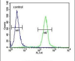 FAM20A Polyclonal Antibody, Invitrogen 400 μL; Unconjugated:Antibodies,