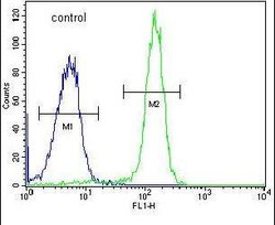 FAM40A Polyclonal Antibody, Invitrogen 400 &mu;L; Unconjugated:Antibodies,
