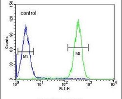 FBXW12 Rabbit anti-Human, Polyclonal, Invitrogen 400 μL; Unconjugated:Antibodies,