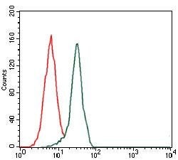 Invitrogen Fibronectin Monoclonal Antibody (2F4) 100 &mu;L; Unconjugated:Antibodies,
