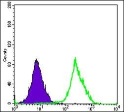 Invitrogen FUK Monoclonal Antibody (6E2) 100 &mu;L; Unconjugated:Antibodies,