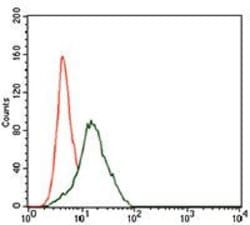 Invitrogen FZD5 Monoclonal Antibody (2D12) 100 &mu;g; Unconjugated:Antibodies,