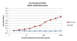 Invitrogen Ferritin Monoclonal Antibody (521) 100 &mu;g; Unconjugated:Antibodies,