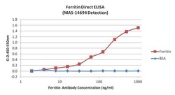 Invitrogen Ferritin Monoclonal Antibody (321B7) 100 &mu;g; Unconjugated:Antibodies,