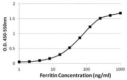 Invitrogen Ferritin Monoclonal Antibody (321B7) 100 &mu;g; Unconjugated:Antibodies,