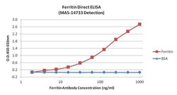 Invitrogen Ferritin Monoclonal Antibody (101) 100 &mu;g; Unconjugated:Antibodies,