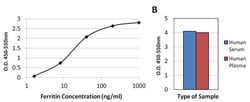 Invitrogen Ferritin Monoclonal Antibody (101) 100 &mu;g; Unconjugated:Antibodies,